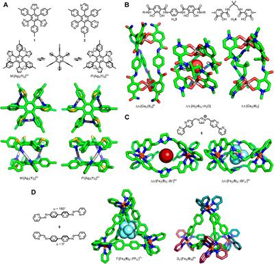 Structural Flexibility in Metal-Organic Cages